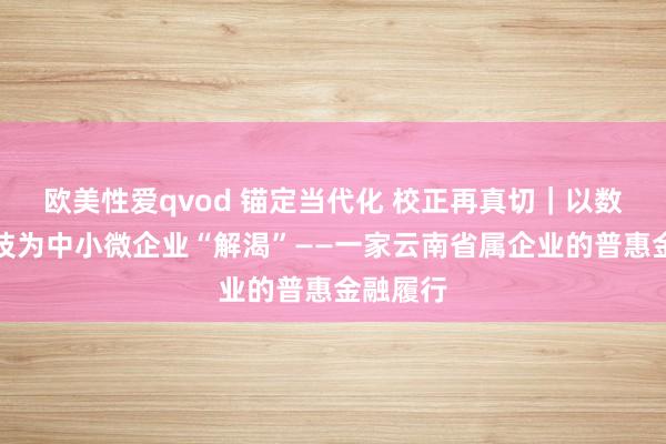 欧美性爱qvod 锚定当代化 校正再真切｜以数字化妙技为中小微企业“解渴”——一家云南省属企业的普惠金融履行