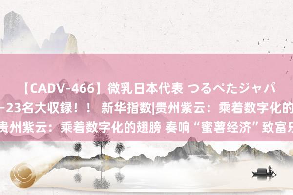 【CADV-466】微乳日本代表 つるぺたジャパン 8時間 最終メンバー23名大収録！！ 新华指数|贵州紫云：乘着数字化的翅膀 奏响“蜜薯经济”致富乐章