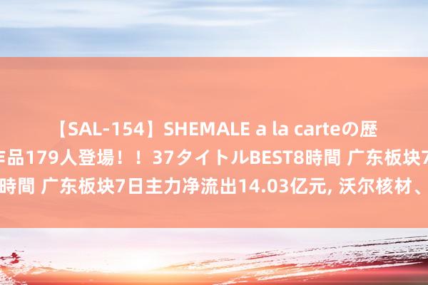 【SAL-154】SHEMALE a la carteの歴史 2 2011～2013 国内作品179人登場！！37タイトルBEST8時間 广东板块7日主力净流出14.03亿元, 沃尔核材、工业富联居前