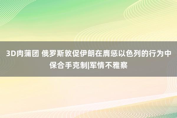 3D肉蒲团 俄罗斯敦促伊朗在膺惩以色列的行为中保合手克制|军情不雅察