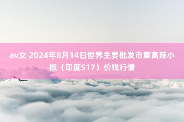 av女 2024年8月14日世界主要批发市集高辣小椒（印度S17）价钱行情