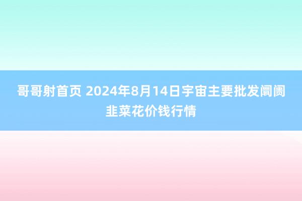 哥哥射首页 2024年8月14日宇宙主要批发阛阓韭菜花价钱行情