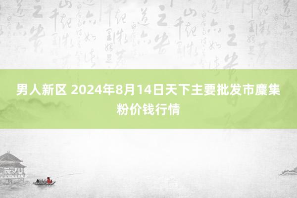 男人新区 2024年8月14日天下主要批发市麇集粉价钱行情