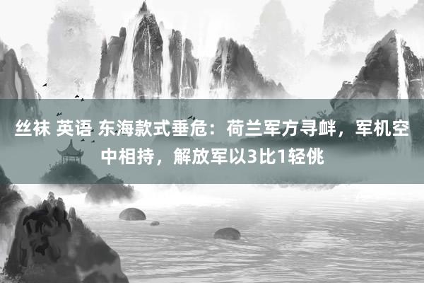 丝袜 英语 东海款式垂危：荷兰军方寻衅，军机空中相持，解放军以3比1轻佻