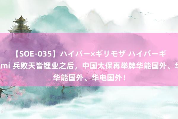 【SOE-035】ハイパー×ギリモザ ハイパーギリモザ Ami 兵败天皆锂业之后，中国太保再举牌华能国外、华电国外！