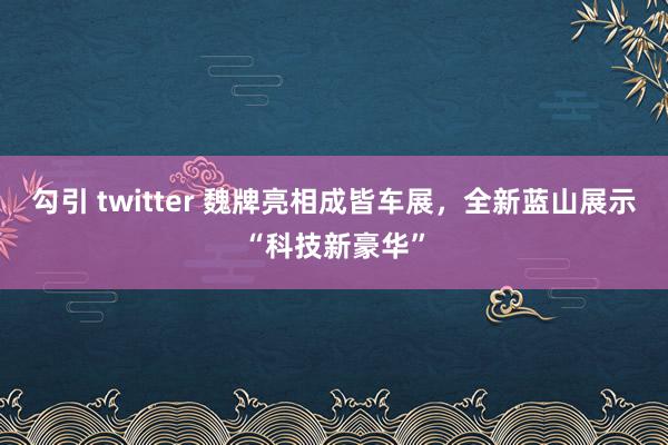 勾引 twitter 魏牌亮相成皆车展，全新蓝山展示“科技新豪华”