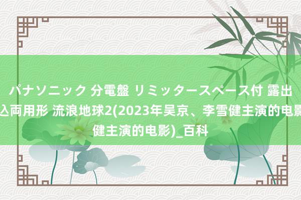 パナソニック 分電盤 リミッタースペース付 露出・半埋込両用形 流浪地球2(2023年吴京、李雪健主演的电影)_百科