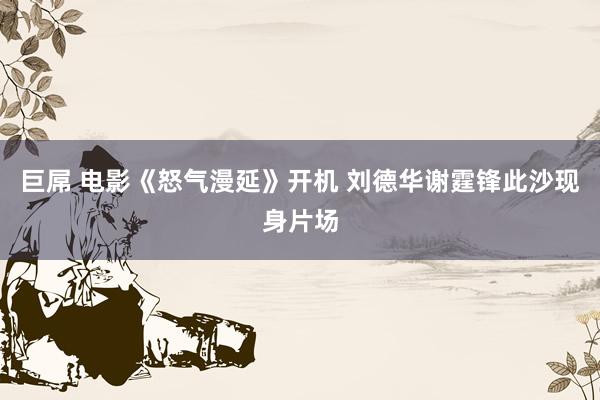 巨屌 电影《怒气漫延》开机 刘德华谢霆锋此沙现身片场