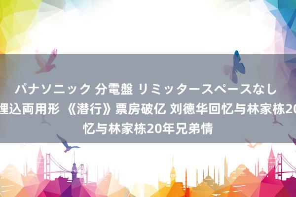 パナソニック 分電盤 リミッタースペースなし 露出・半埋込両用形 《潜行》票房破亿 刘德华回忆与林家栋20年兄弟情