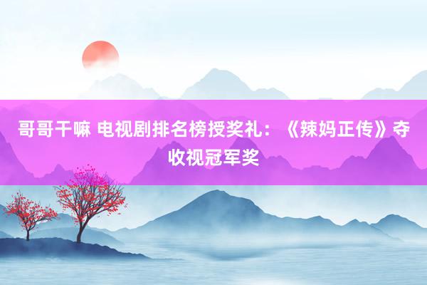 哥哥干嘛 电视剧排名榜授奖礼：《辣妈正传》夺收视冠军奖