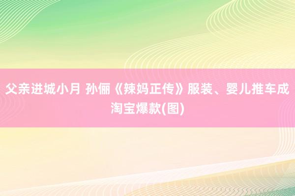 父亲进城小月 孙俪《辣妈正传》服装、婴儿推车成淘宝爆款(图)