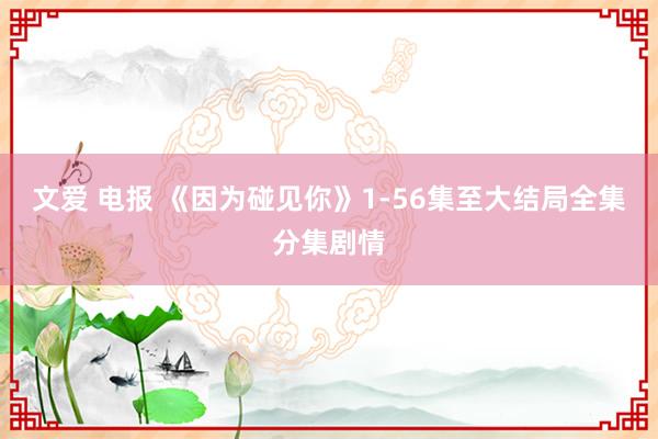 文爱 电报 《因为碰见你》1-56集至大结局全集分集剧情