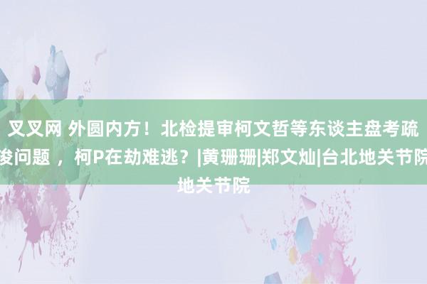 叉叉网 外圆内方！北检提审柯文哲等东谈主盘考疏浚问题 ，柯P在劫难逃？|黄珊珊|郑文灿|台北地关节院