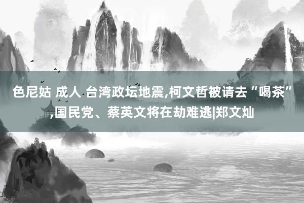 色尼姑 成人 台湾政坛地震,柯文哲被请去“喝茶”,国民党、蔡英文将在劫难逃|郑文灿