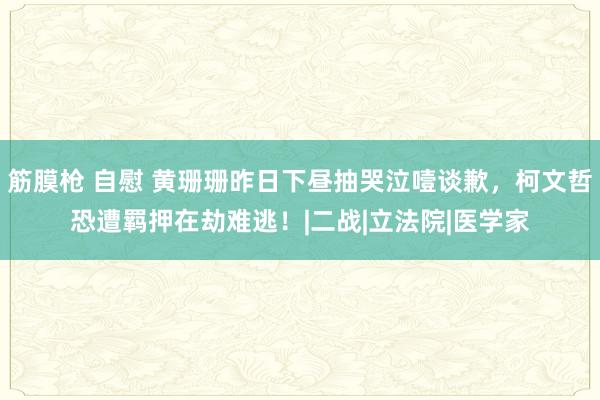 筋膜枪 自慰 黄珊珊昨日下昼抽哭泣噎谈歉，柯文哲恐遭羁押在劫难逃！|二战|立法院|医学家