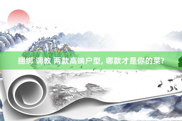捆绑 调教 两款高端户型, 哪款才是你的菜?